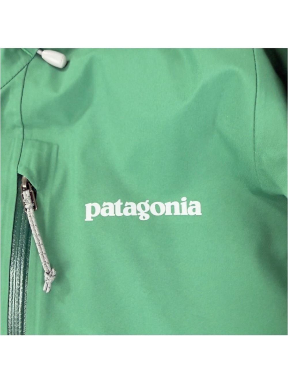 Patagonia NWT Women's Sz Small Calcite Gore-tex Green Jacket 84996 Style Number - Picture 13 of 16